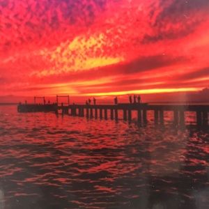 Meet your Posher, Jana